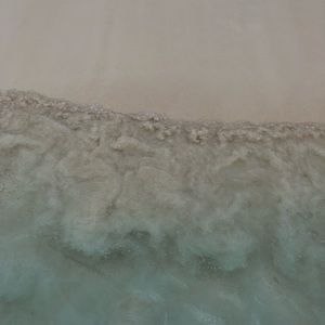 Meet your Posher, Bernetta